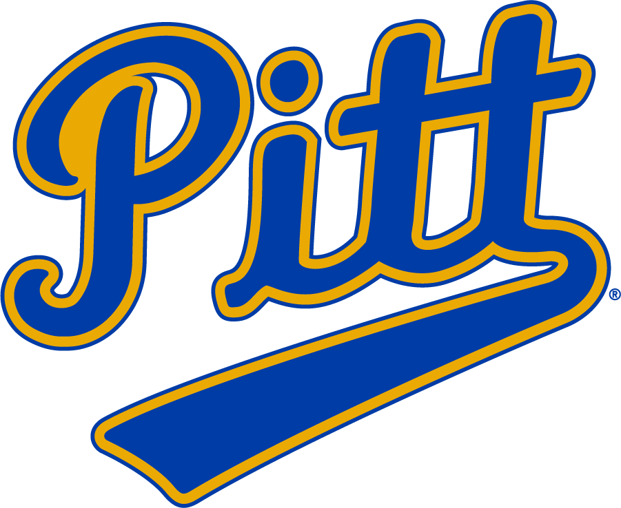Pittsburgh Panthers 1970-1987 Wordmark Logo diy iron on heat transfer